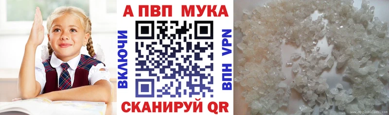 Alfa_PVP СК КРИС  Хасавюрт 