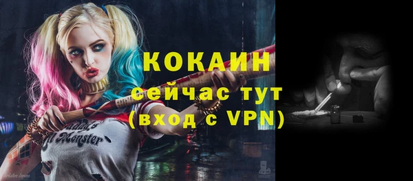 соль курить ск Алексеевка