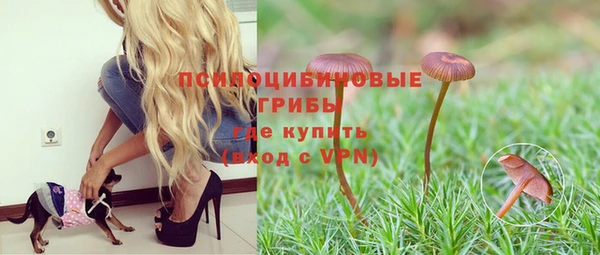 соль курить ск Абаза